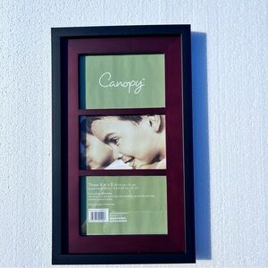 Canopy Picture Frame